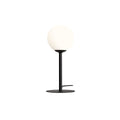 Biurkowa Pinne table lamp