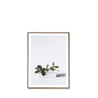 Quadro BOOK 50x70