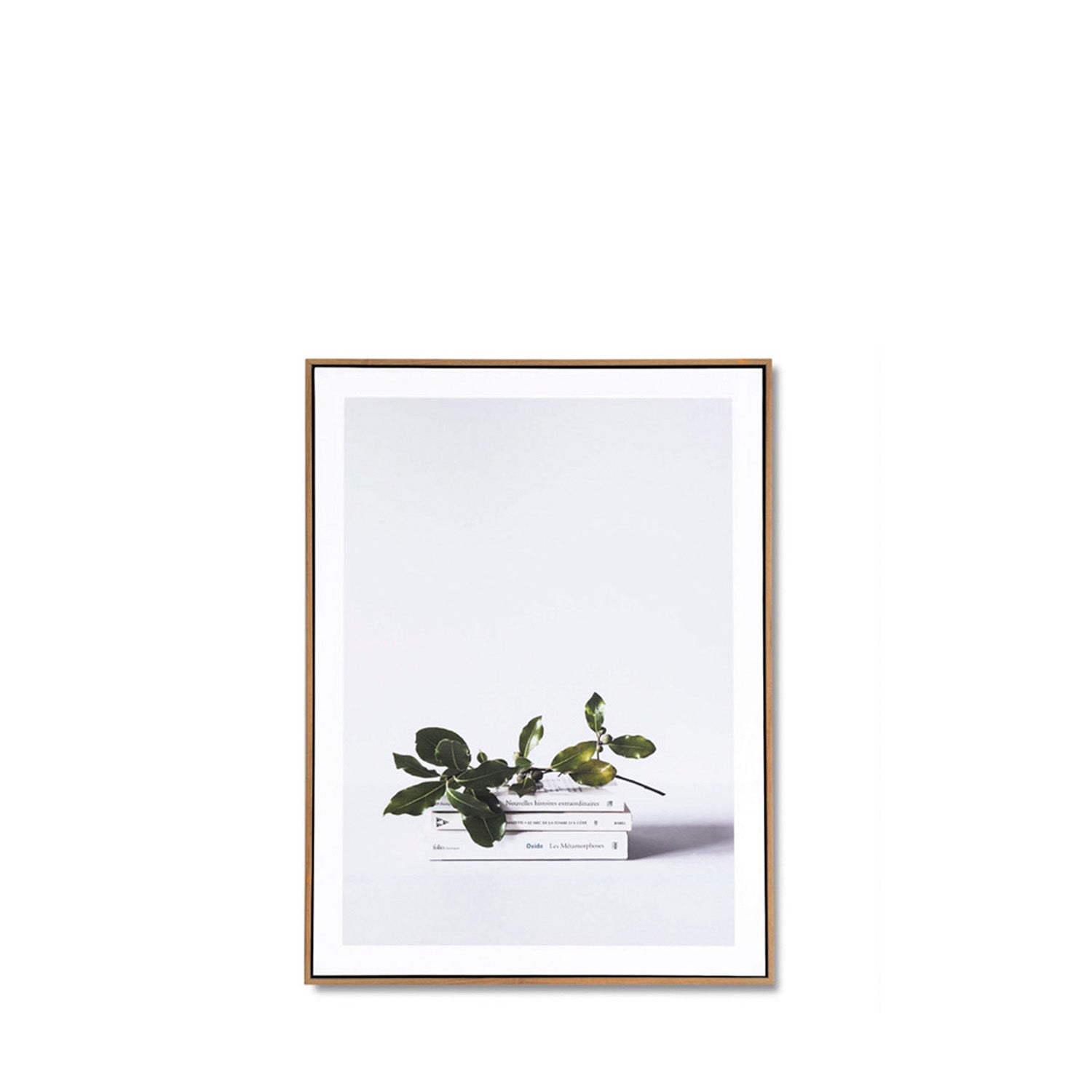 Quadro BOOK 50x70