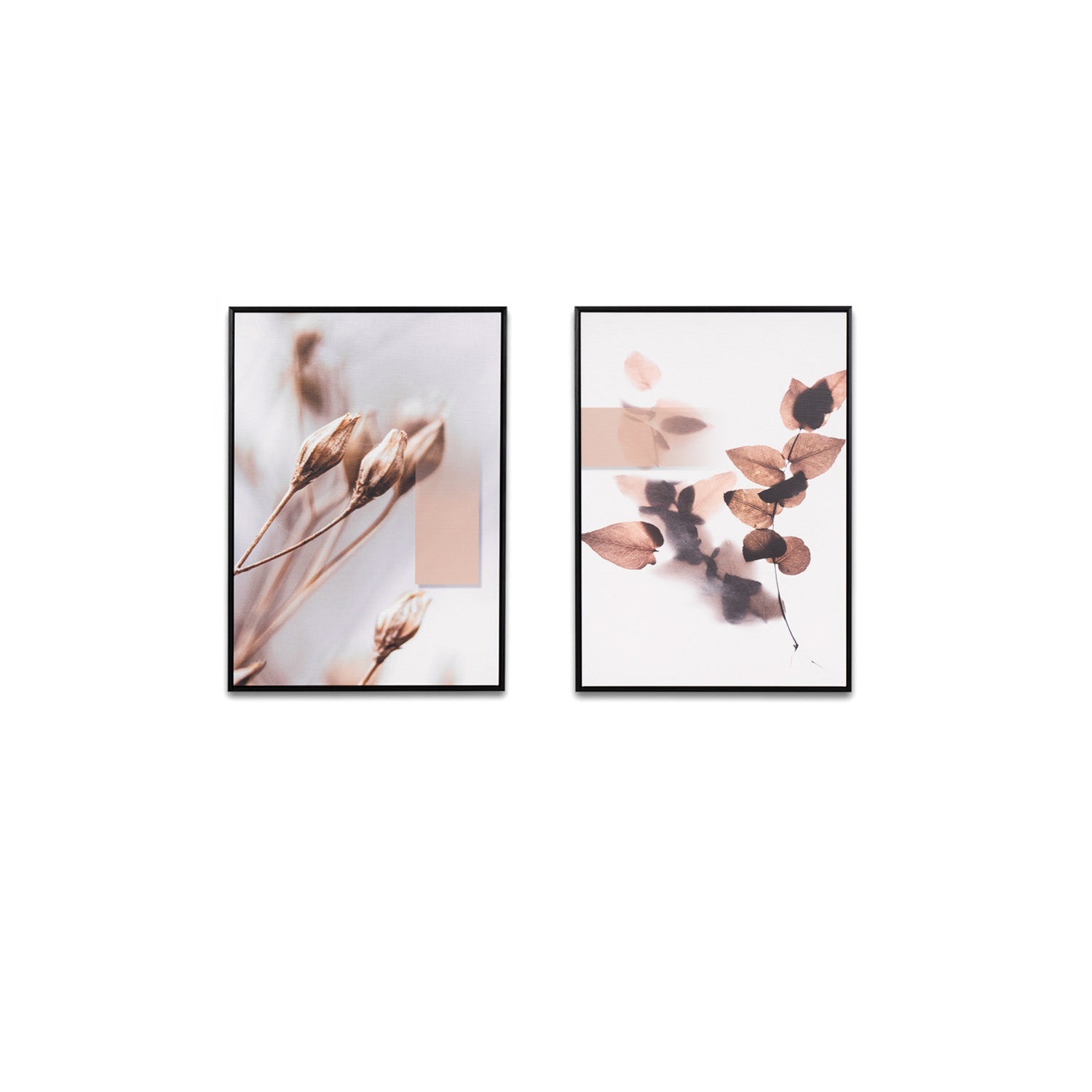 Quadro DARLING 1 50x70