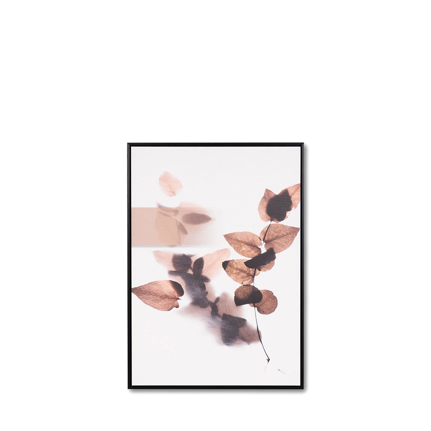 Quadro DARLING 1 50x70